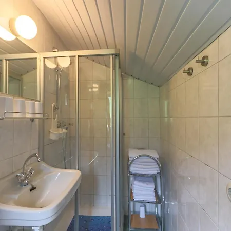 In Near Zell Am Area * Piesendorf